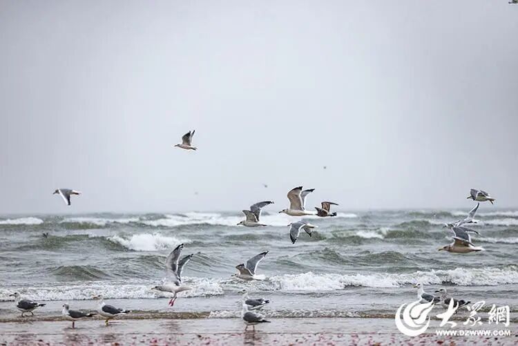深度5厘米！2市继续降雪，山东发布天气预报