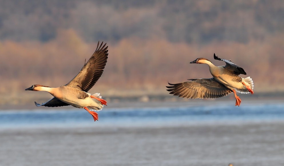 冬日里的童话世界！沈阳宝藏打卡地，攻略来了→