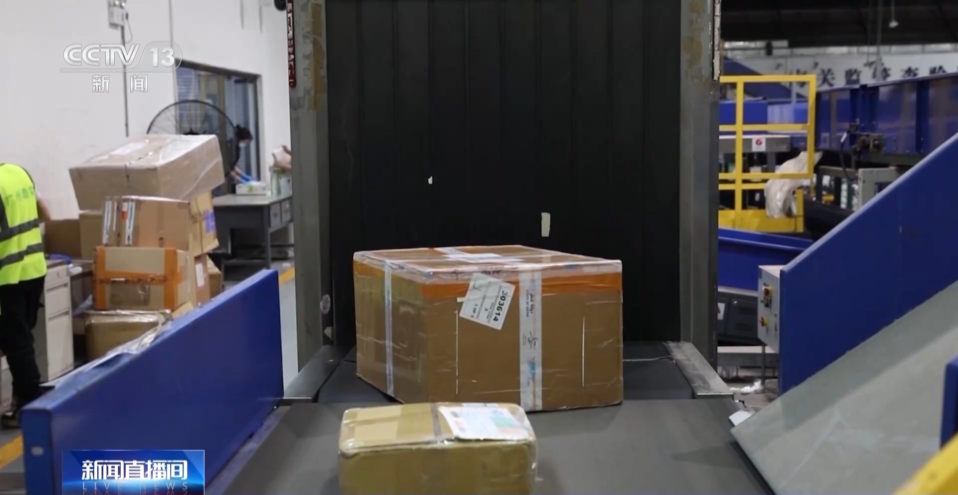 申报家具变“咖啡”？海关连续查获藏匿走私大麻和大麻种子案件