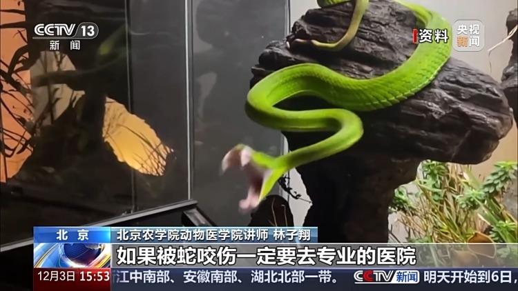 “异宠”虽潮，饲养有道！警惕生物安全风险，勿碰法律红线