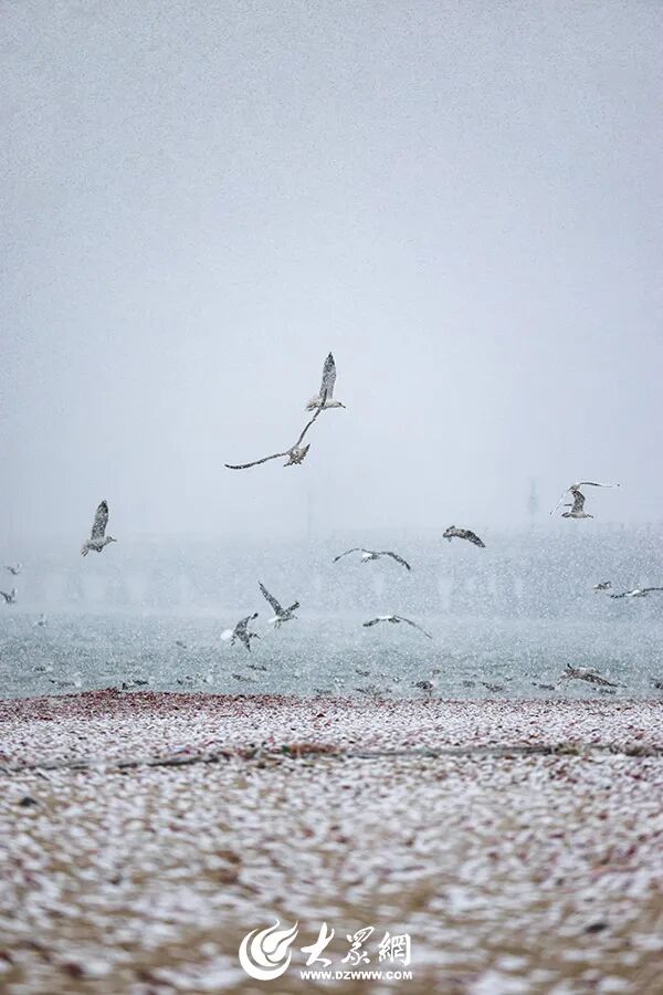 深度5厘米！2市继续降雪，山东发布天气预报
