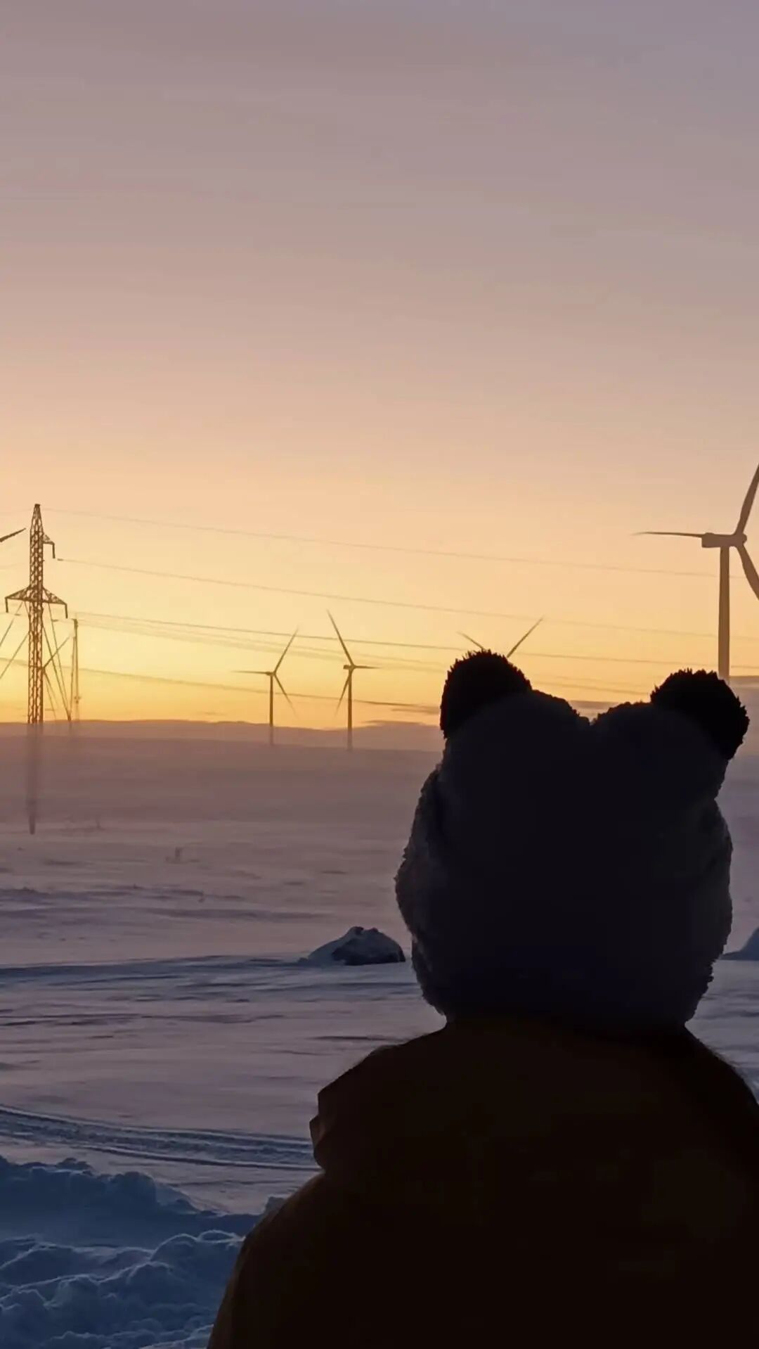 追极光、探蓝冰 免签带火赴俄游，春节期间部分民宿已订满