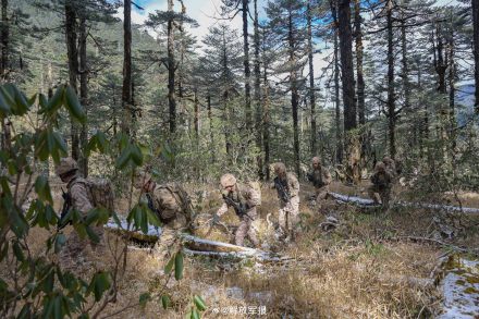 走起!带你看墨脱边防军人的巡逻路 走起!带你看墨脱边防军人的巡逻路