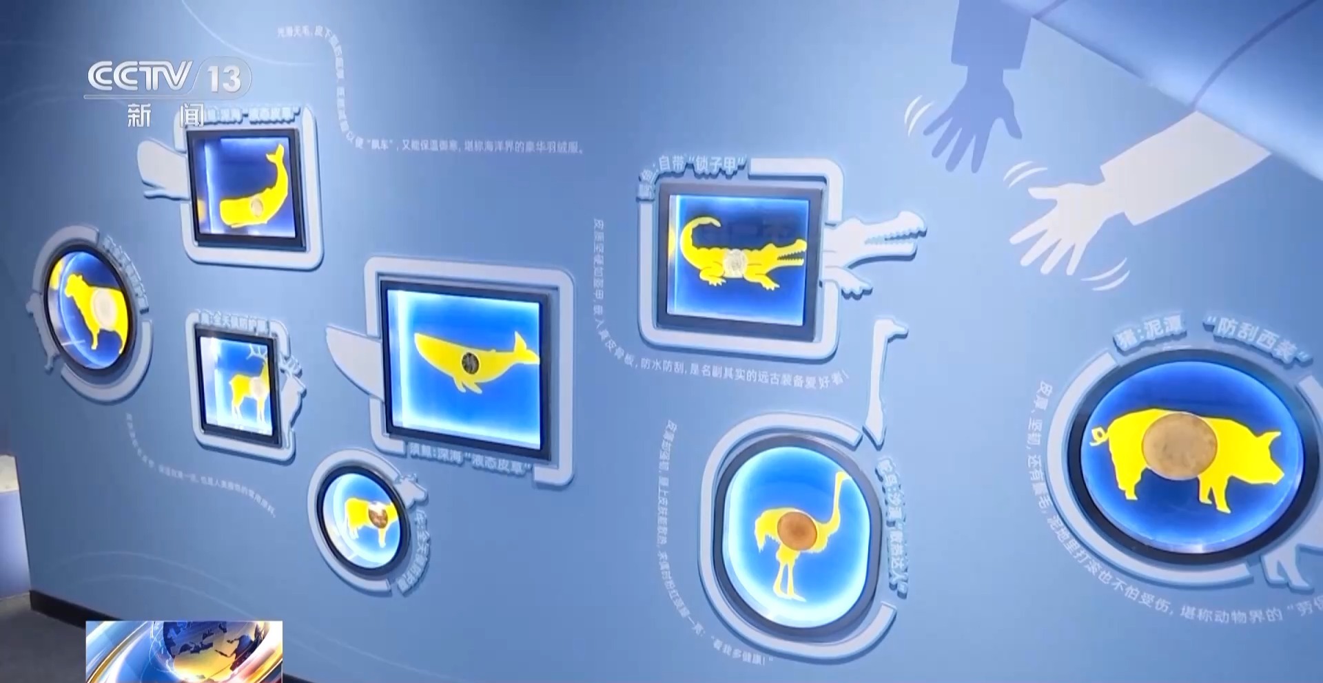 在国家自然博物馆“遇见鲸” 回望5500万年陆海传奇
