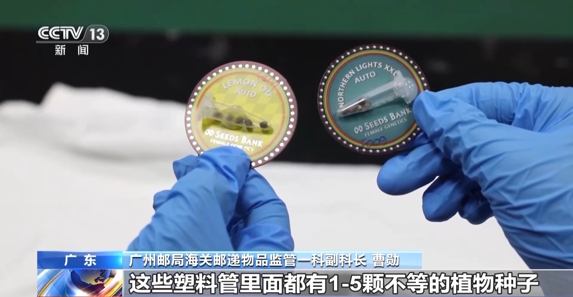 申报家具变“咖啡”？海关连续查获藏匿走私大麻和大麻种子案件