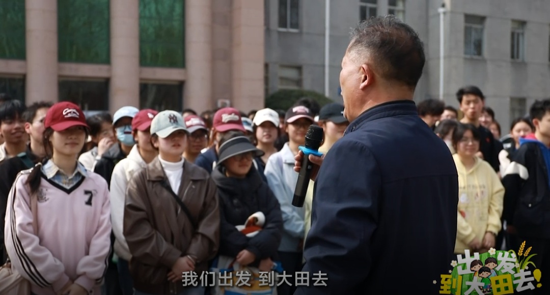 近300名农学子种蚕豆半年,竟颗粒无收?教授反手开“失败课堂” 近300名农学子种蚕豆半年,竟颗粒无收?教授反手开“失败课堂”