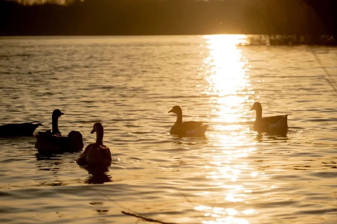 冬日里的童话世界！沈阳宝藏打卡地，攻略来了→