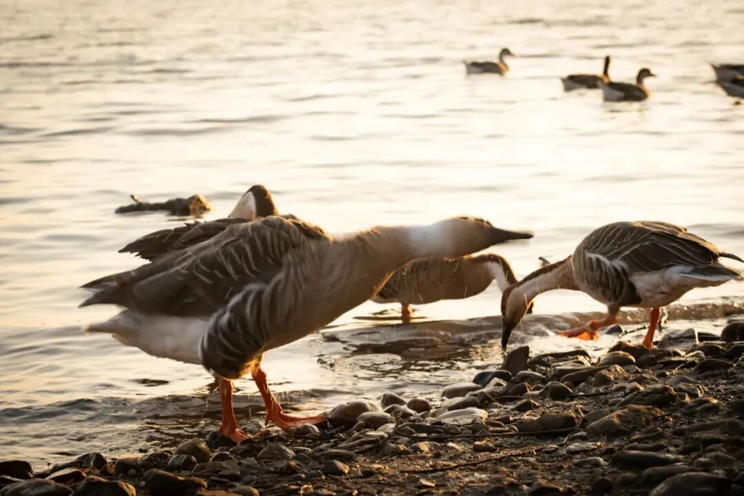冬日里的童话世界！沈阳宝藏打卡地，攻略来了→