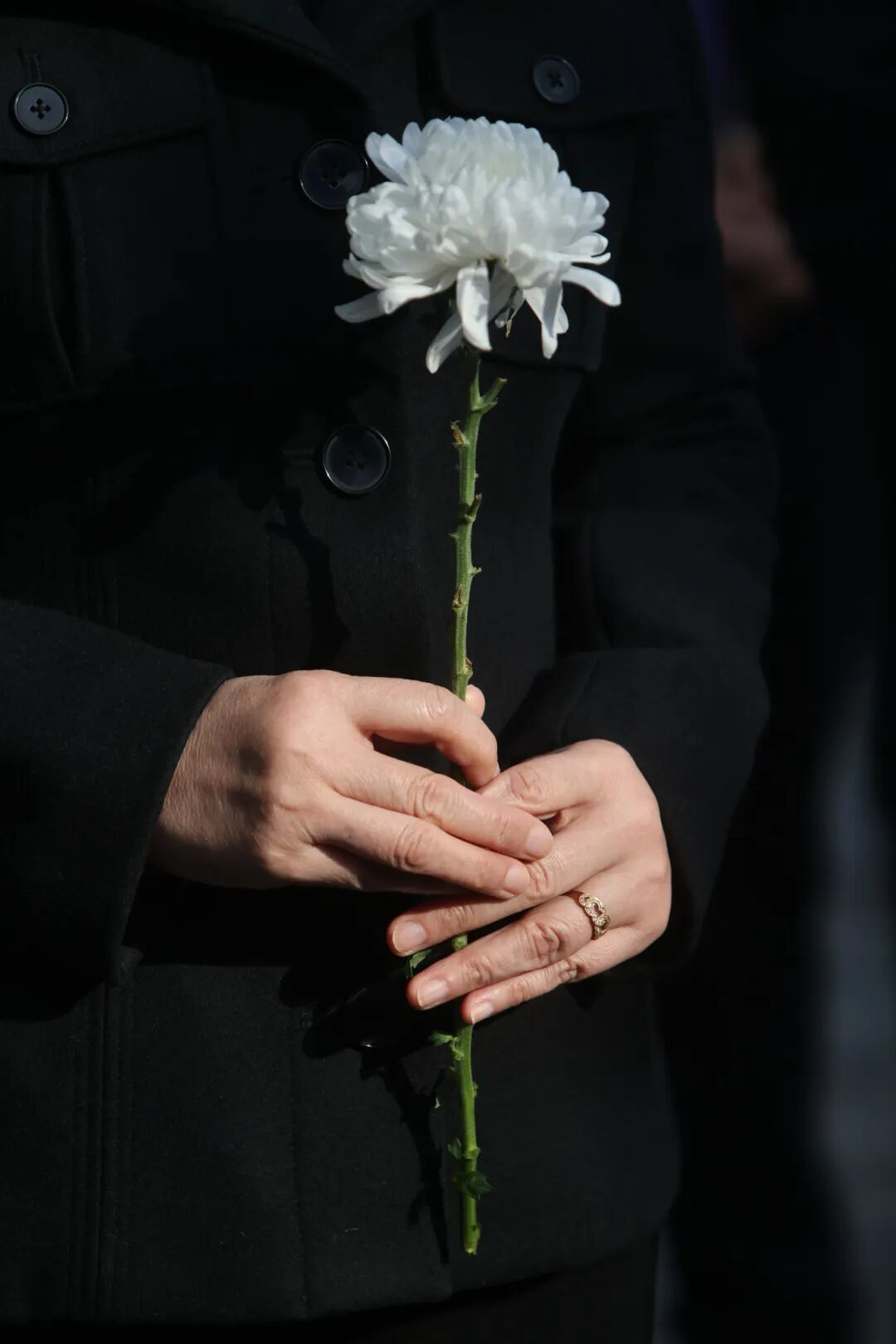 “我今年已经96岁，不能等了！”