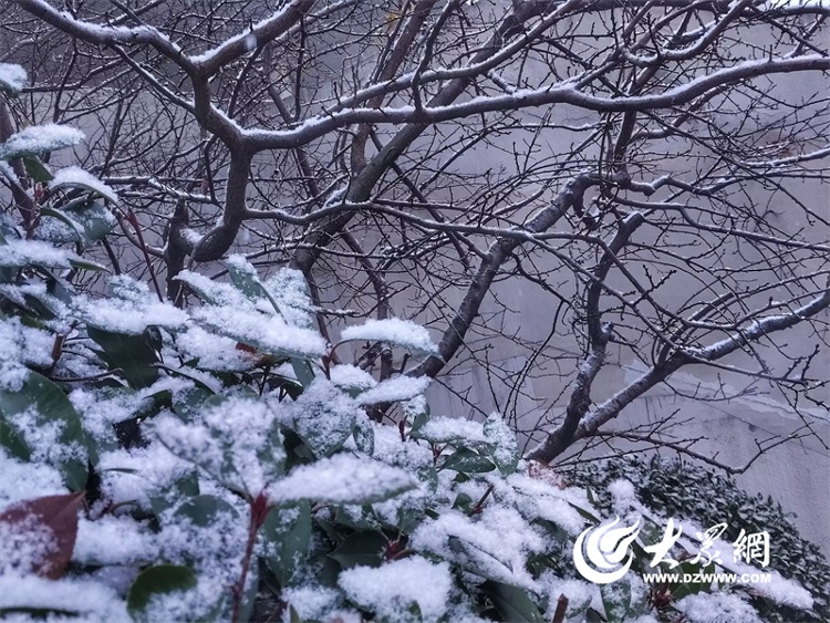 深度5厘米！2市继续降雪，山东发布天气预报