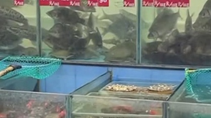 为“下火”轻信偏方，女子一口生吞致急性肝衰竭！差点丢了命