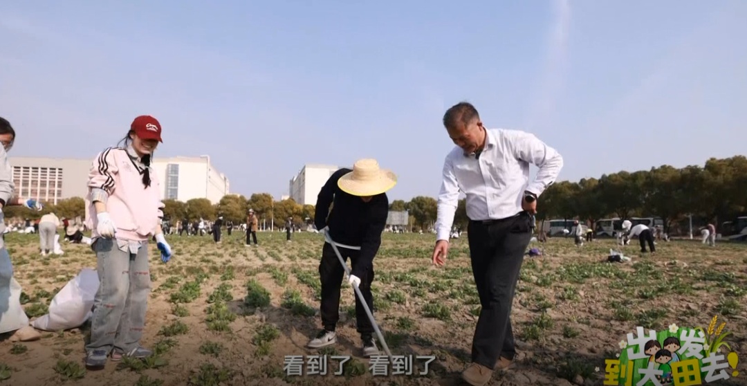 近300名农学子种蚕豆半年,竟颗粒无收?教授反手开“失败课堂” 近300名农学子种蚕豆半年,竟颗粒无收?教授反手开“失败课堂”