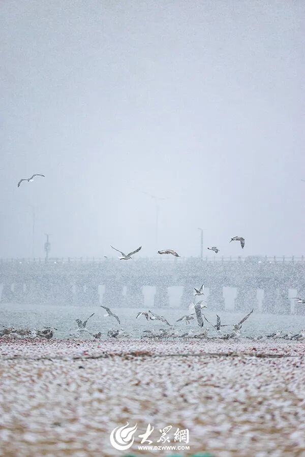 深度5厘米！2市继续降雪，山东发布天气预报