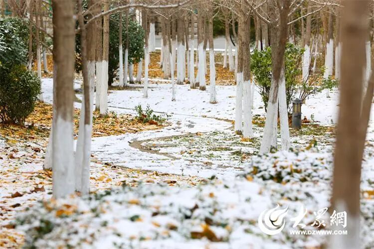 深度5厘米！2市继续降雪，山东发布天气预报