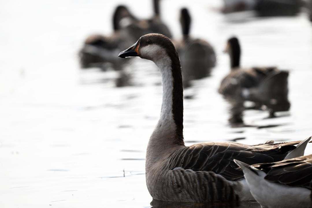 冬日里的童话世界！沈阳宝藏打卡地，攻略来了→