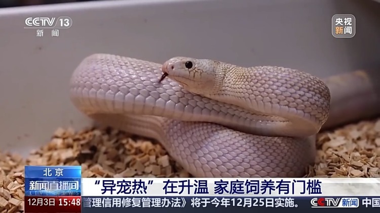 “异宠”虽潮，饲养有道！警惕生物安全风险，勿碰法律红线