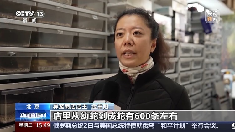 “异宠”虽潮，饲养有道！警惕生物安全风险，勿碰法律红线