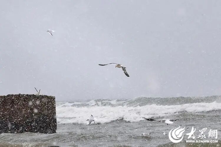 深度5厘米！2市继续降雪，山东发布天气预报