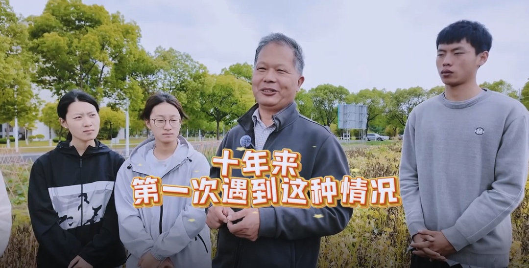 近300名农学子种蚕豆半年,竟颗粒无收?教授反手开“失败课堂” 近300名农学子种蚕豆半年,竟颗粒无收?教授反手开“失败课堂”