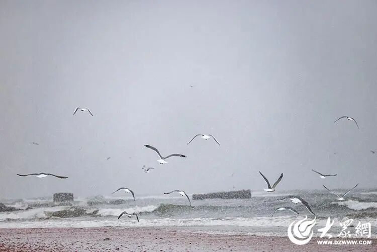 深度5厘米！2市继续降雪，山东发布天气预报