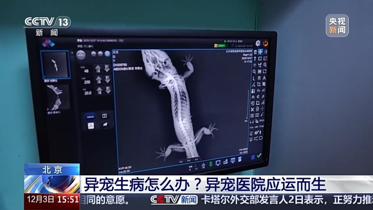 “异宠”虽潮，饲养有道！警惕生物安全风险，勿碰法律红线