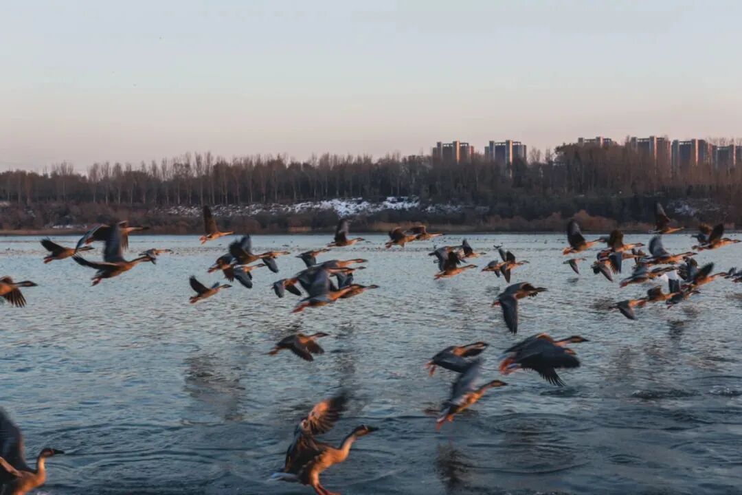 冬日里的童话世界！沈阳宝藏打卡地，攻略来了→