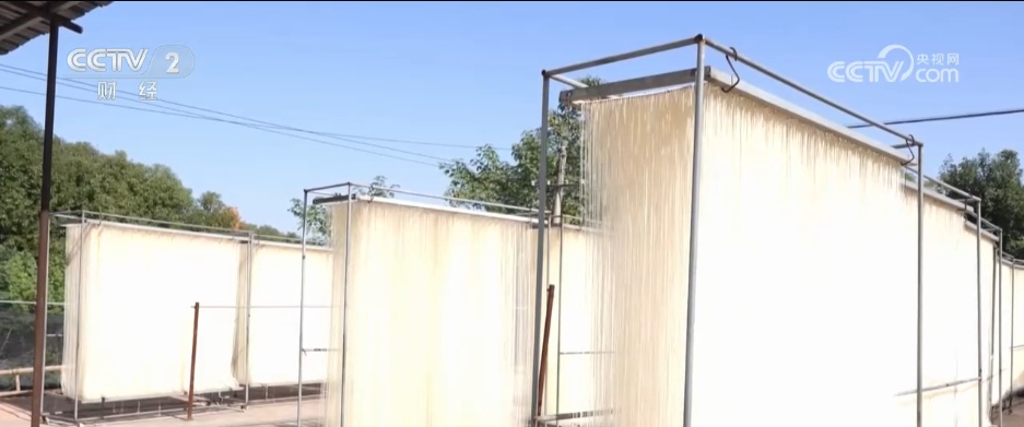 冬“鲜”上市受青睐 特色产业铺就乡村振兴“富民路”