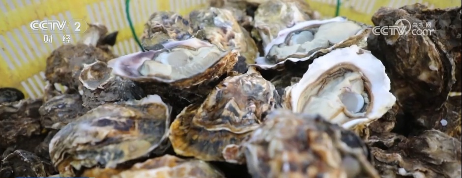 冬“鲜”上市受青睐 特色产业铺就乡村振兴“富民路”