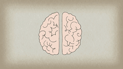 性格好的人往往脑子也好使 性格好的人往往脑子也好使