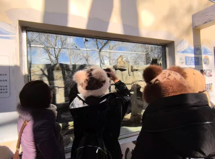 好消息！西宁野生动物园豹馆全新亮相