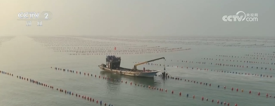 冬“鲜”上市受青睐 特色产业铺就乡村振兴“富民路”