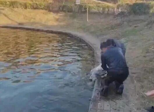 刷屏全网的黑衣男子找到了，为这位大学教授点赞！