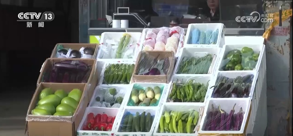 应对低温挑战 多地数措并举保障百姓“菜篮子”供应充足