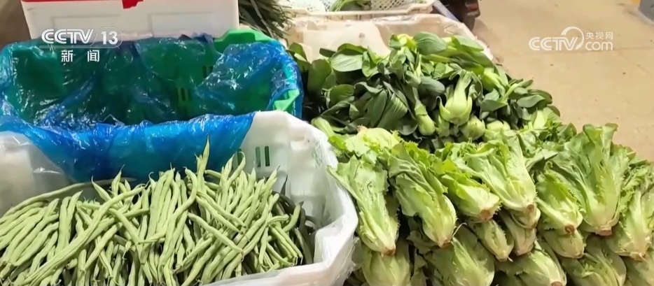 应对低温挑战 多地数措并举保障百姓“菜篮子”供应充足