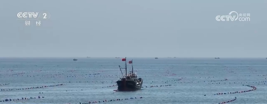 冬“鲜”上市受青睐 特色产业铺就乡村振兴“富民路”