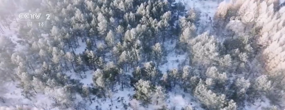 各地积极应对低温天气 各部门多措并举保民生保生产