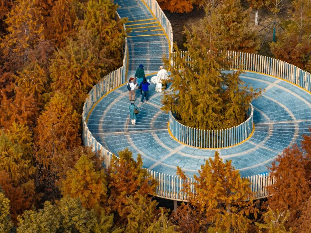 官宣:武汉这里开放露营!已进入最佳观赏期 官宣:武汉这里开放露营!已进入最佳观赏期