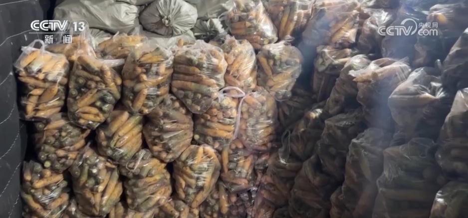 应对低温挑战 多地数措并举保障百姓“菜篮子”供应充足