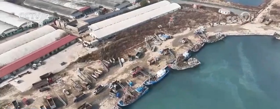 冬“鲜”上市受青睐 特色产业铺就乡村振兴“富民路”