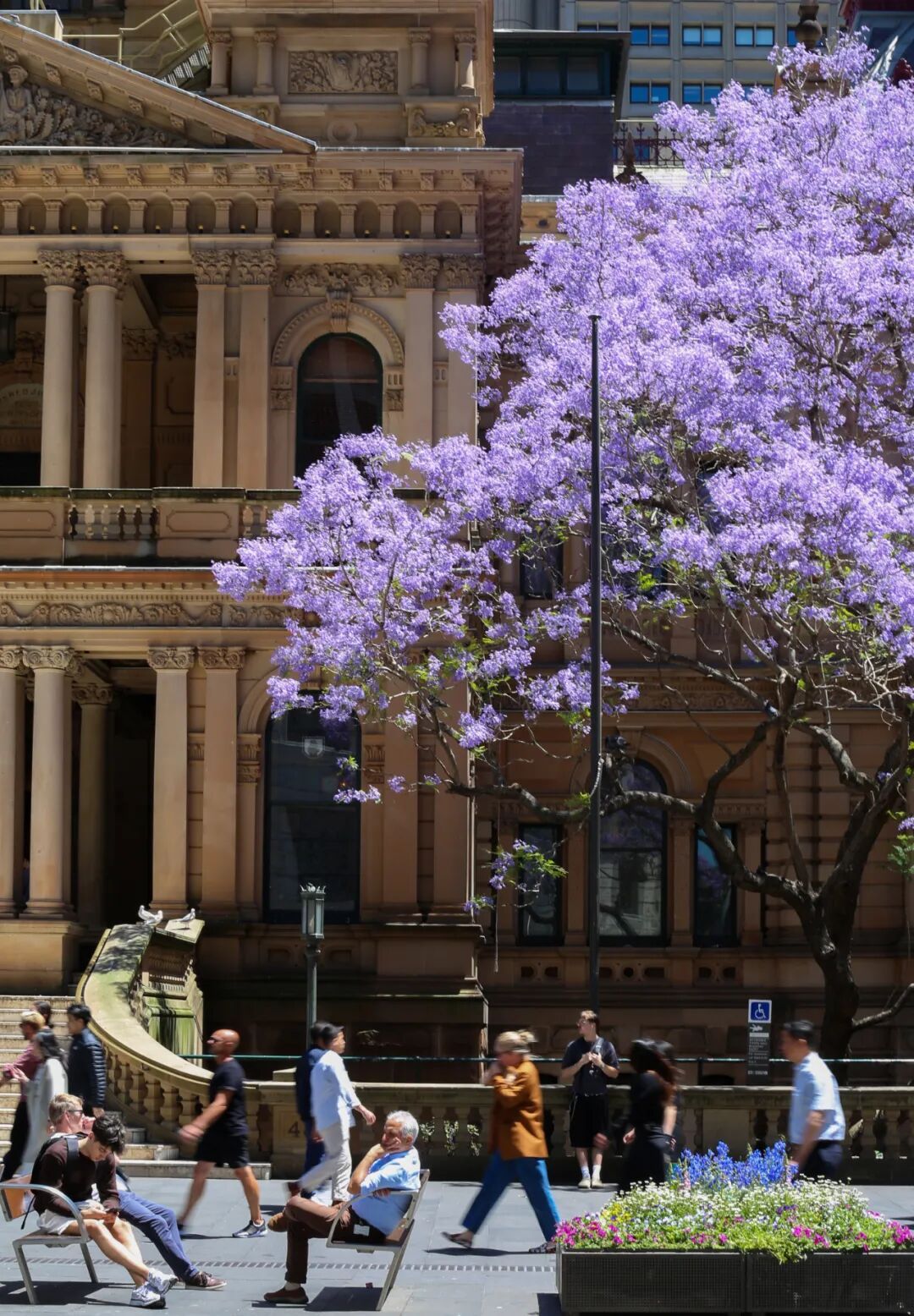 热搜第一！16岁以下禁用社交媒体！澳大利亚成全球首例