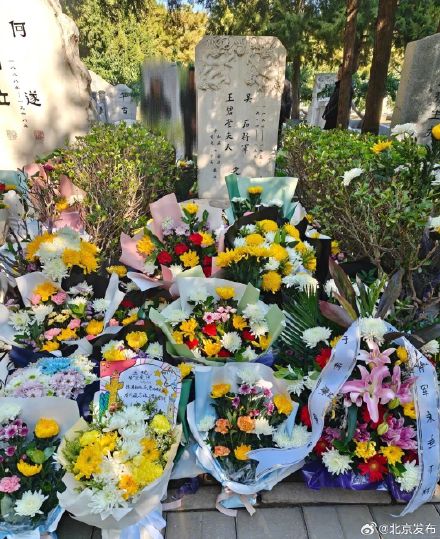 年轻人热衷在北京“访古寻迹” 年轻人热衷在北京“访古寻迹”