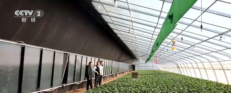 各地积极应对低温天气 各部门多措并举保民生保生产