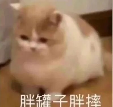 上班以后越来越胖？医生：大脑认为你受到“虐待”