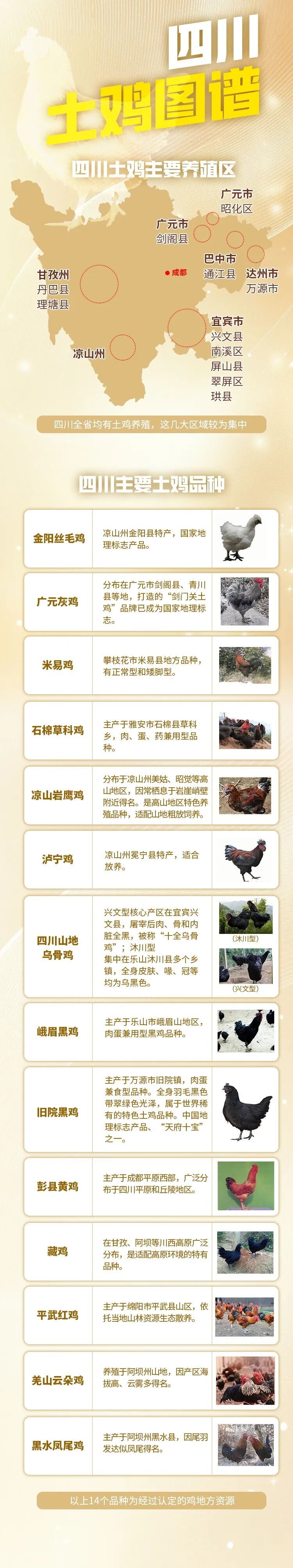 《四川土鸡图谱》来了！你喜欢吃哪种？