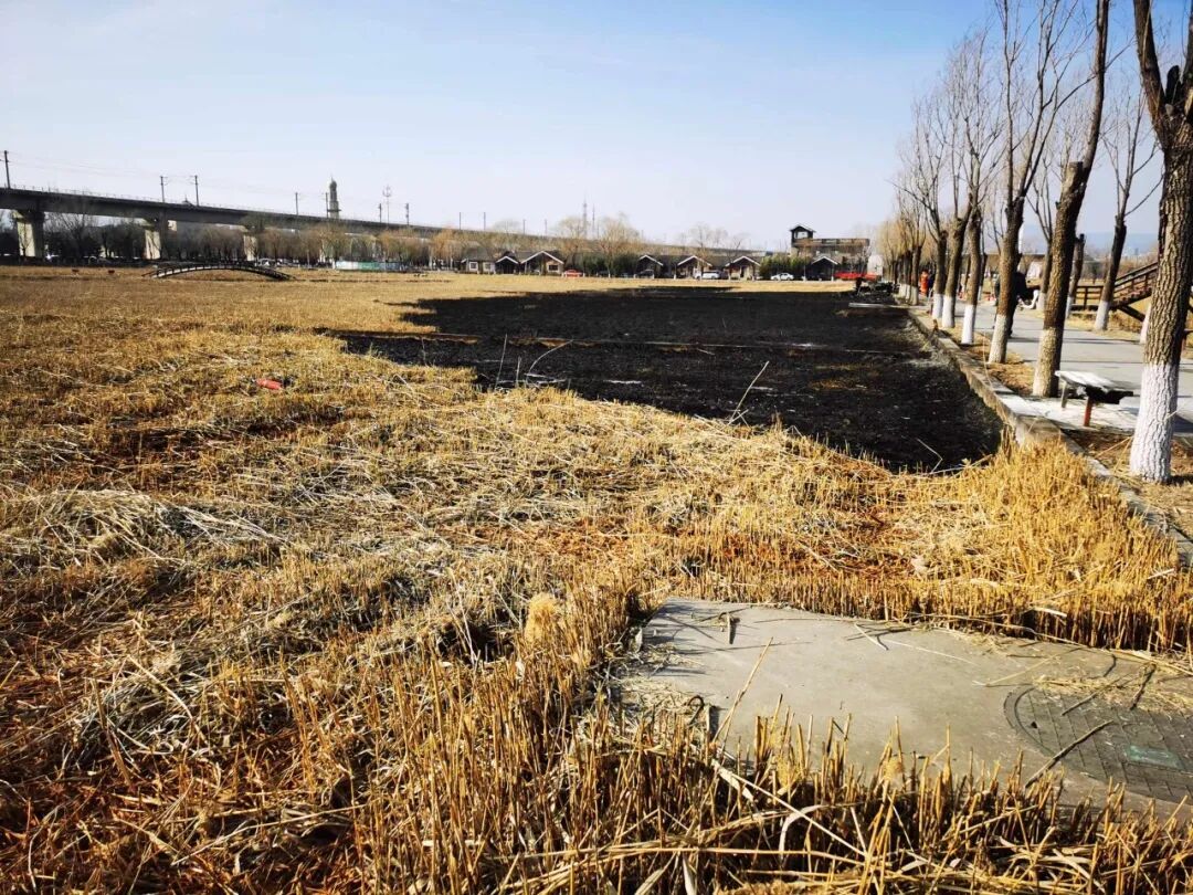 一个动作险酿大祸!监控还原真相 一个动作险酿大祸!监控还原真相