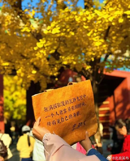 年轻人热衷在北京“访古寻迹” 年轻人热衷在北京“访古寻迹”