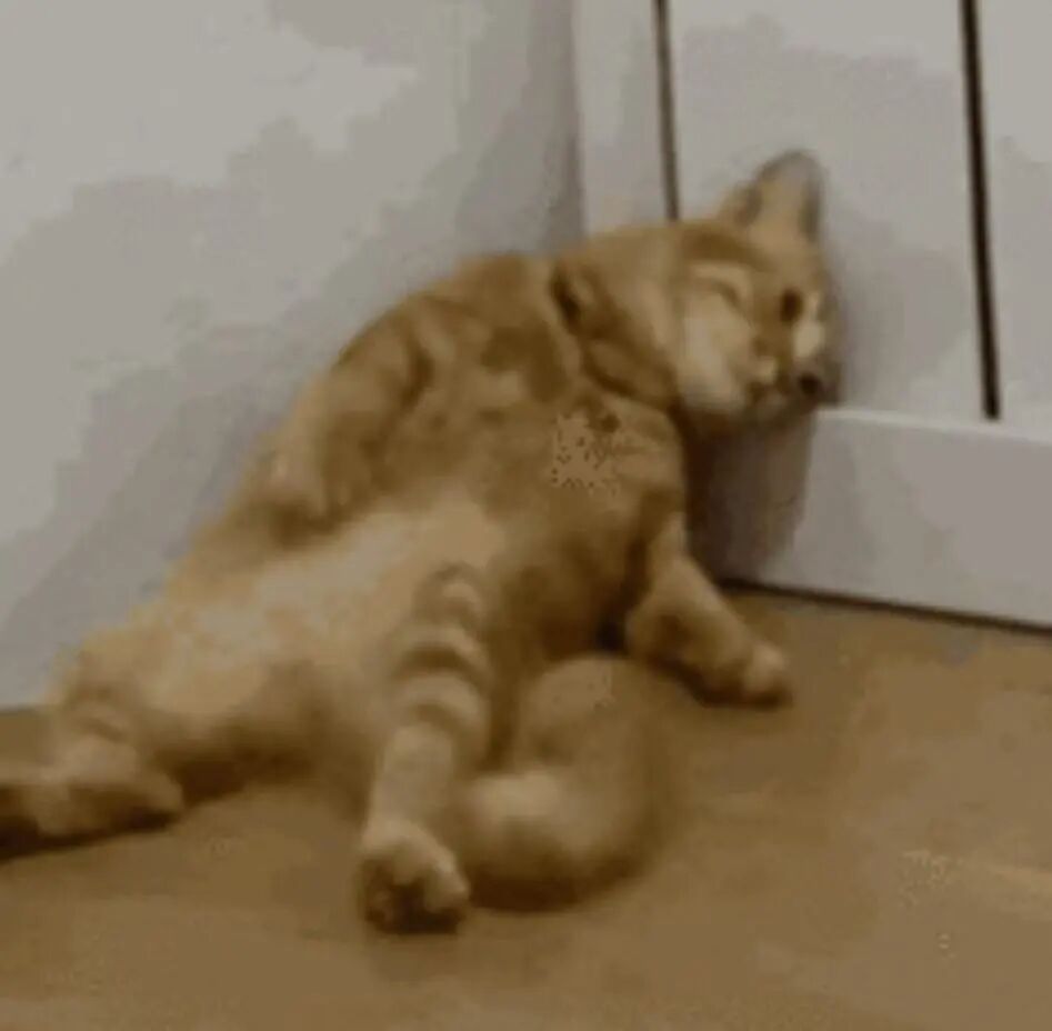 上班以后越来越胖？医生：大脑认为你受到“虐待”