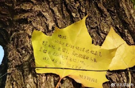 年轻人热衷在北京“访古寻迹” 年轻人热衷在北京“访古寻迹”