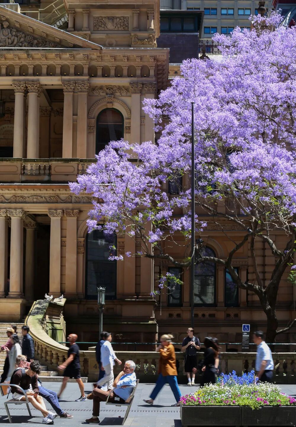 全球首例！澳大利亚16岁以下人群“社媒禁令”即将生效，未予配合企业最高罚2.32亿元！