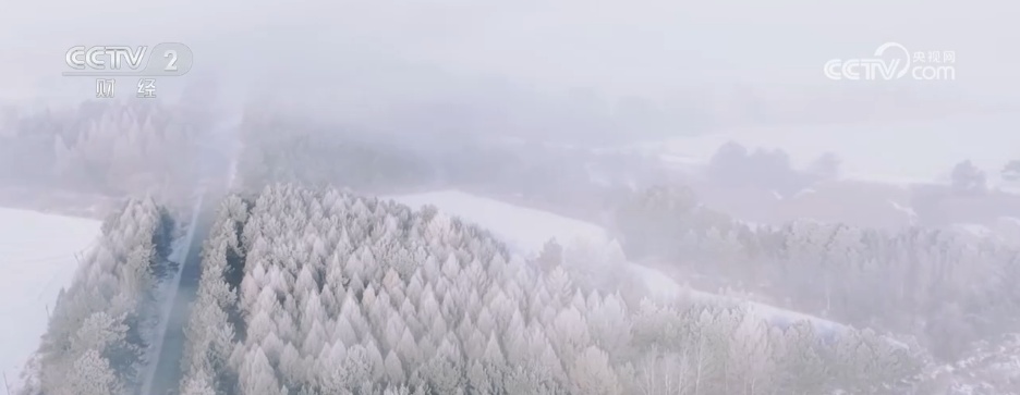各地积极应对低温天气 各部门多措并举保民生保生产